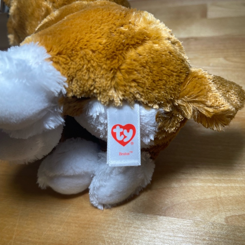 NWT Ty Beanie Boos Buddy BRUTUS Boxer Dog Medium-9 Inch - Picture 5 of 11